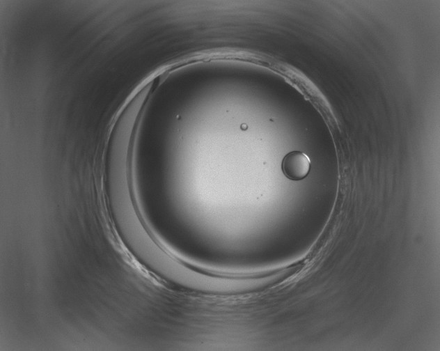 X0000083980860200702232043