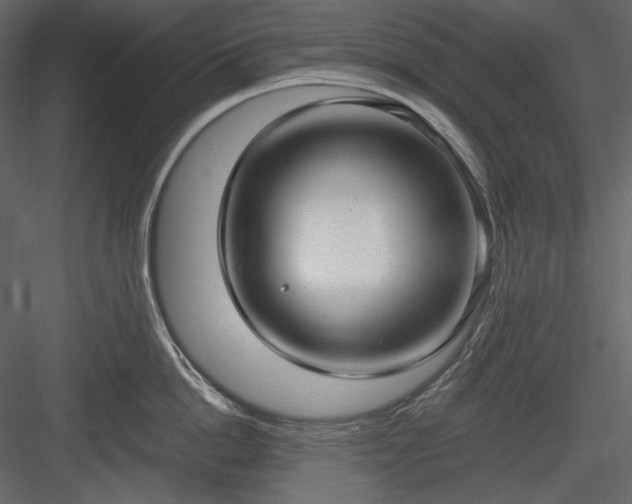 X0000083980862200702232043