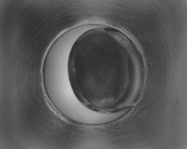 X0000083980864200702232043