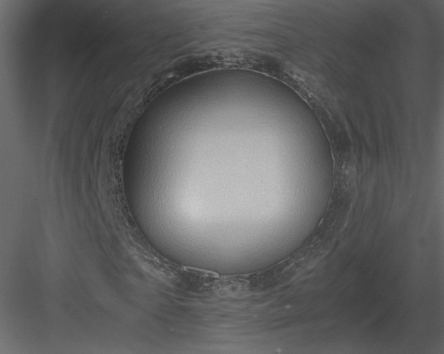 X0000083980865200702232042