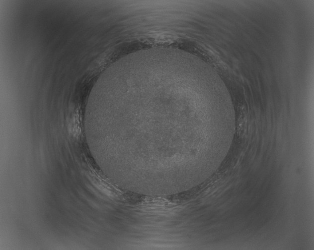 X0000083980866200702232042