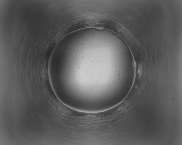 X0000083980867200702232042