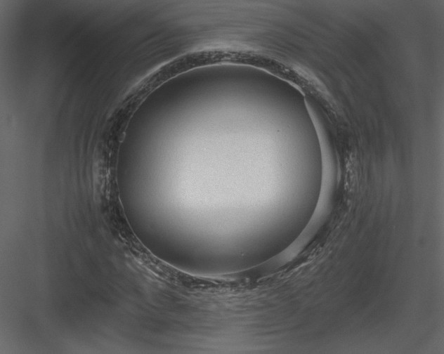 X0000083980872200702232042