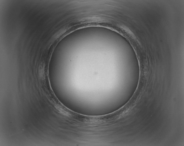 X0000083980873200702232042