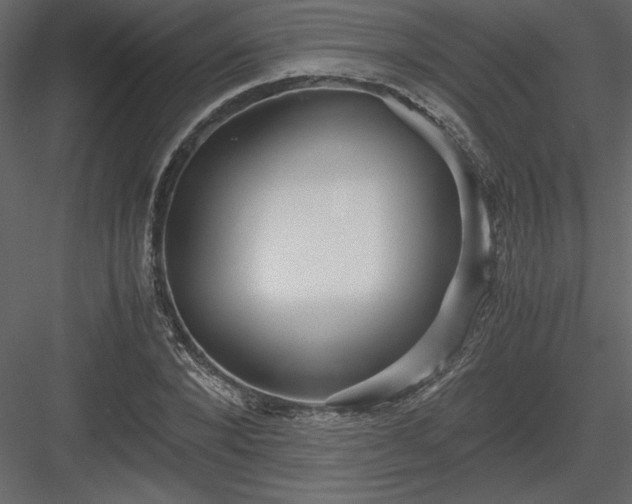 X0000083980880200702232042