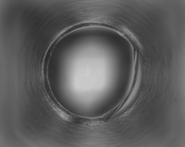 X0000083980884200702232041