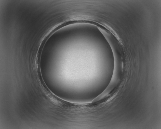 X0000083980885200702232041