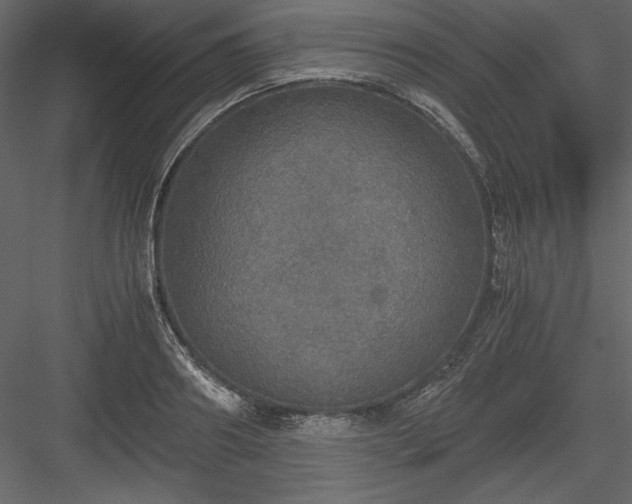 X0000083980890200702232041