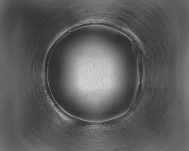 X0000083980894200702232041