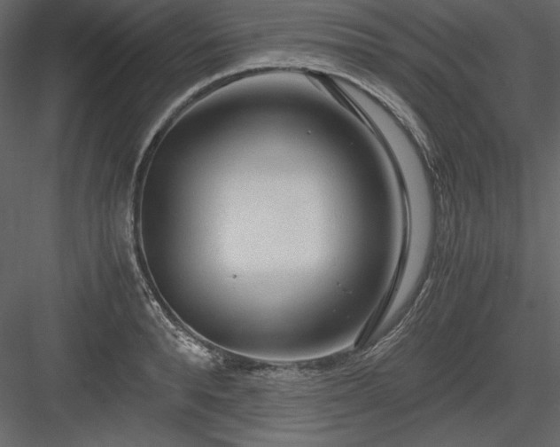 X0000083980896200702232041