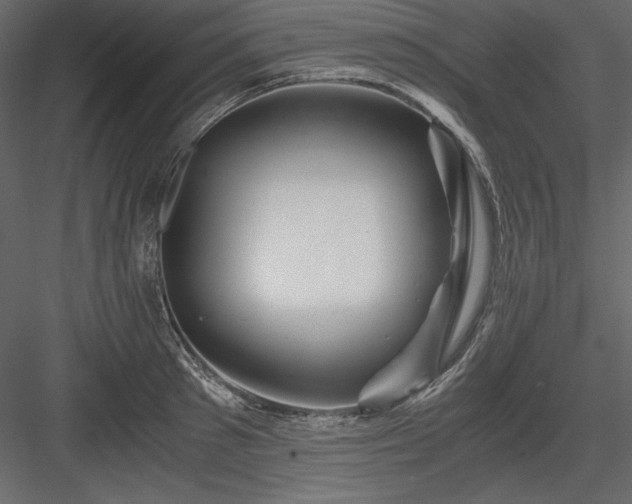X0000083980897200702232041