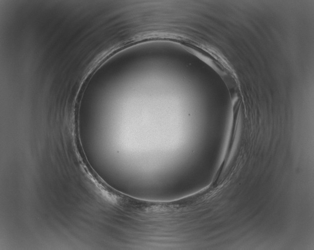 X0000083980898200702232041