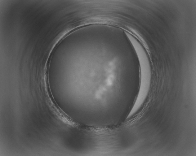 X0000083980899200702232041