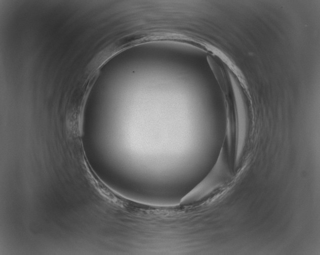 X0000083980905200702232041