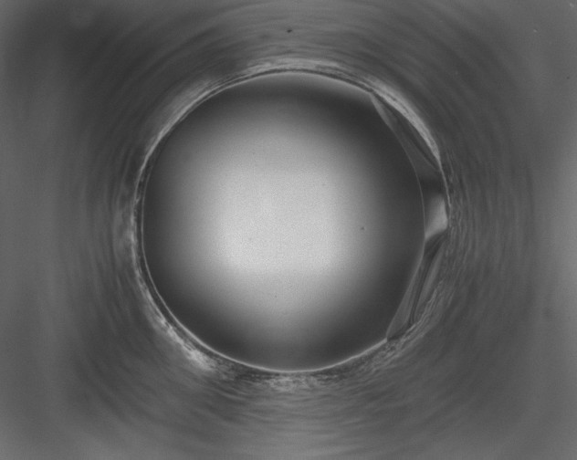 X0000083980906200702232041