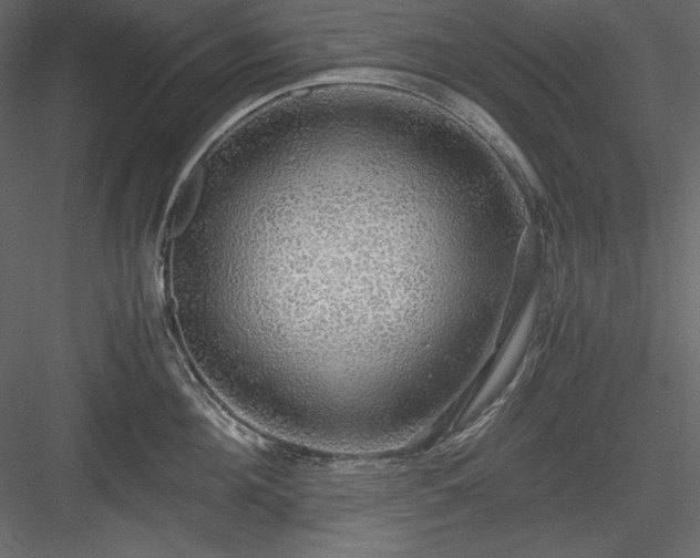 X0000083980908200702232041