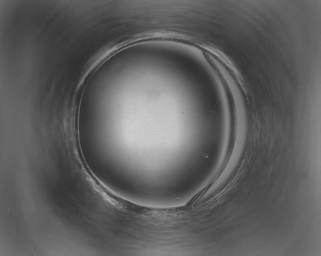 X0000083980910200702232041