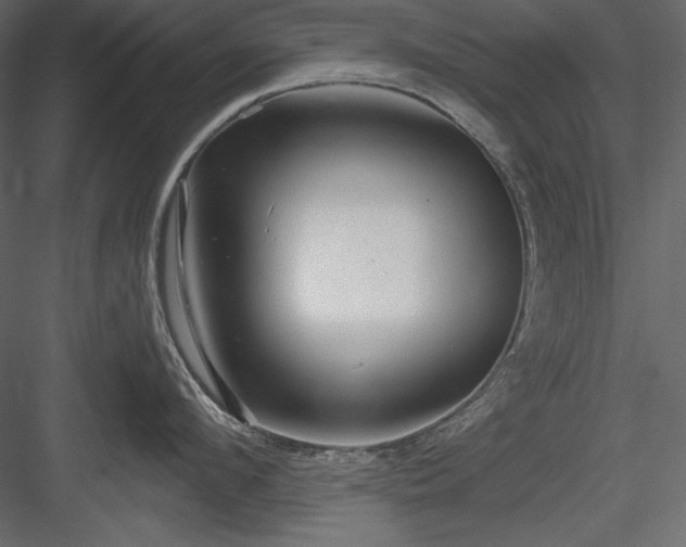 X0000083980912200702232041