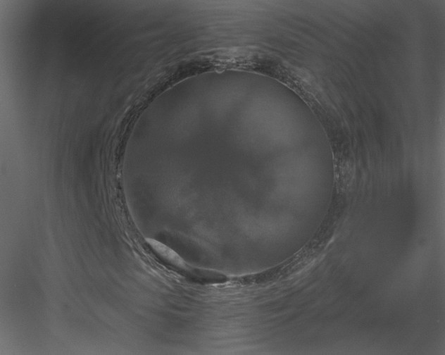 X0000083980913200702232040