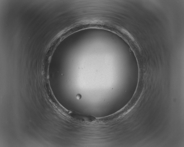 X0000083980922200702232040