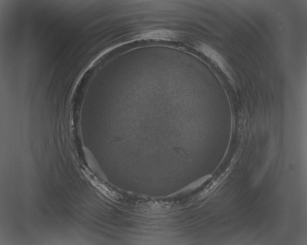X0000083980923200702232040