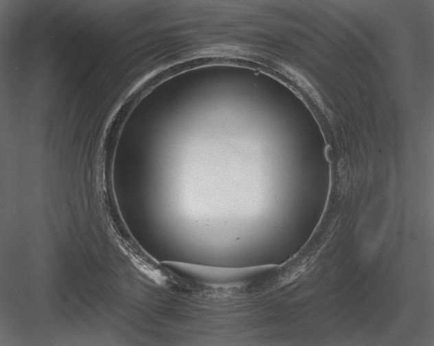X0000083980931200702232040