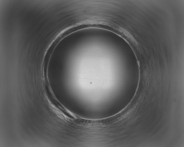 X0000083980934200702232041