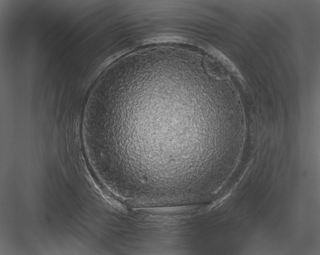 X0000083980937200702232041