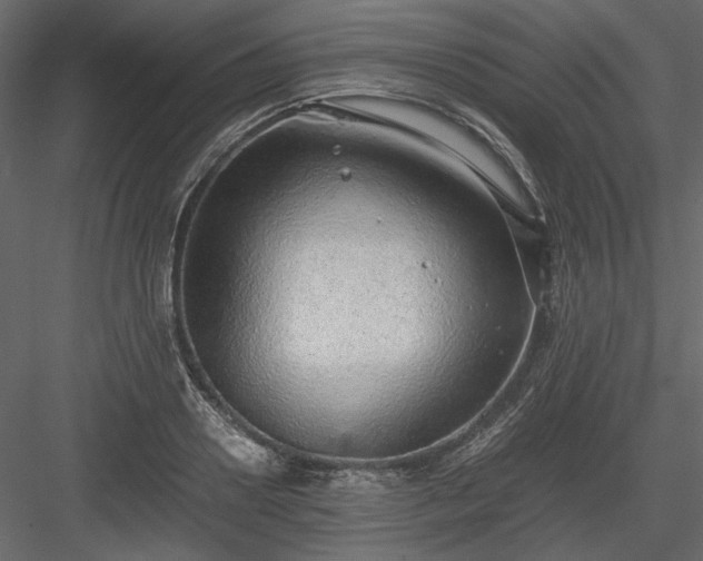 X0000083980938200702232041