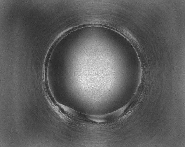 X0000083980940200702232041