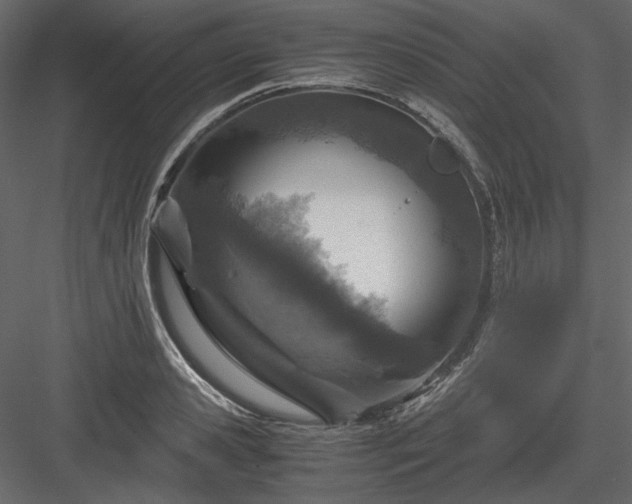 X0000083980941200702232041
