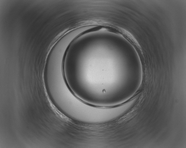 X0000083980946200702232041