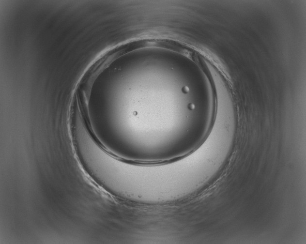 X0000083980950200702232041