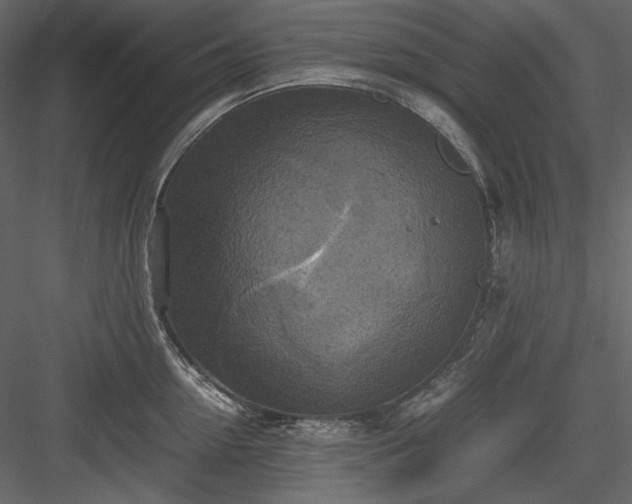 X0000083980954200702232041