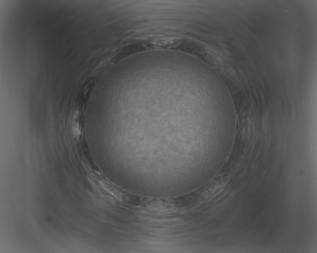 X0000083980962200702232040