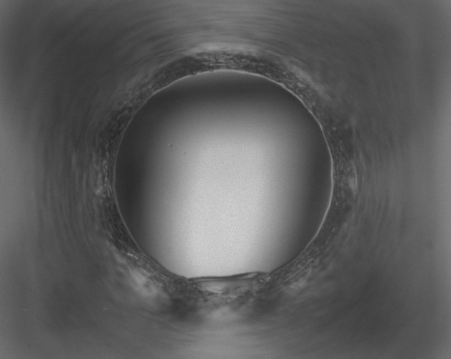 X0000083980965200702232040
