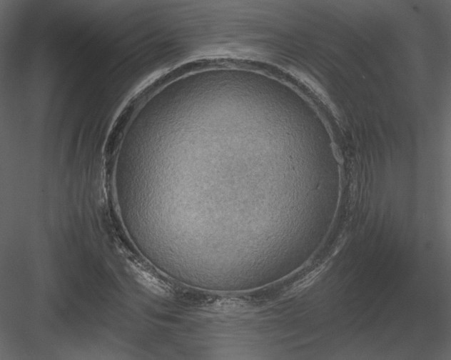 X0000083980974200702232040
