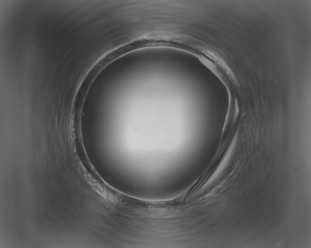 X0000083980976200702232040