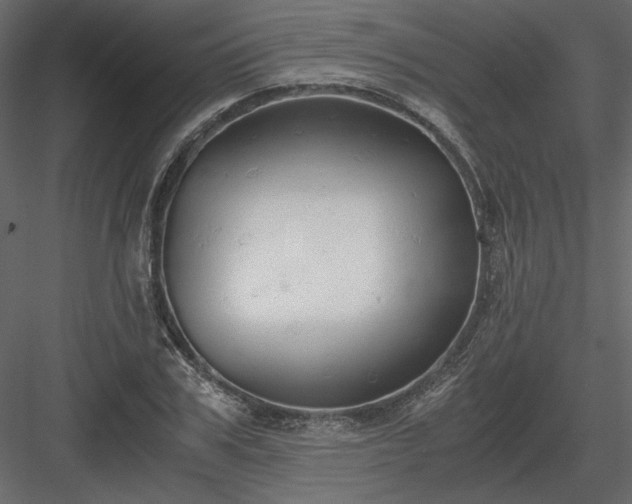 X0000083980979200702232040
