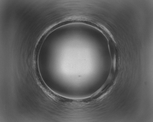 X0000083980981200702232040