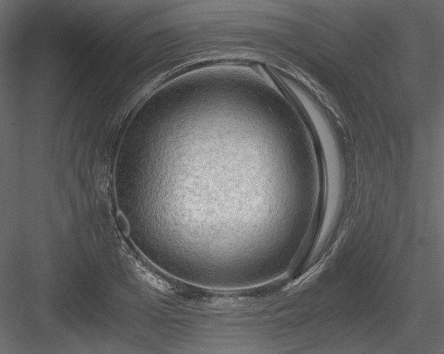 X0000083980985200702232040