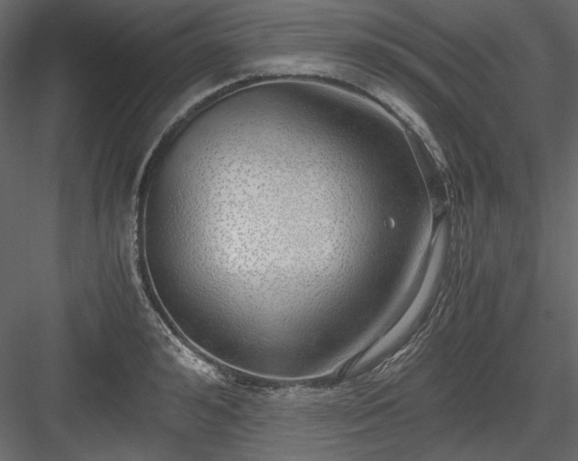 X0000083980992200702232040