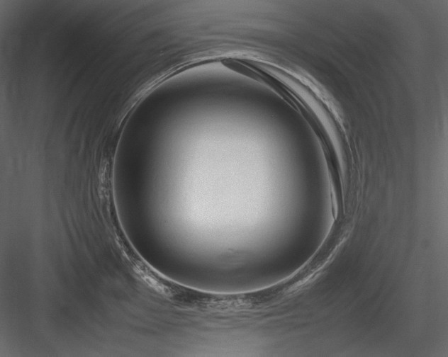 X0000083981001200702232039