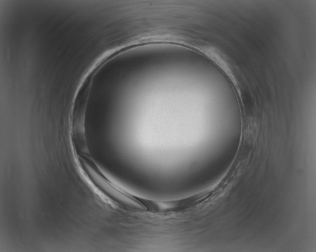X0000083981005200702232039