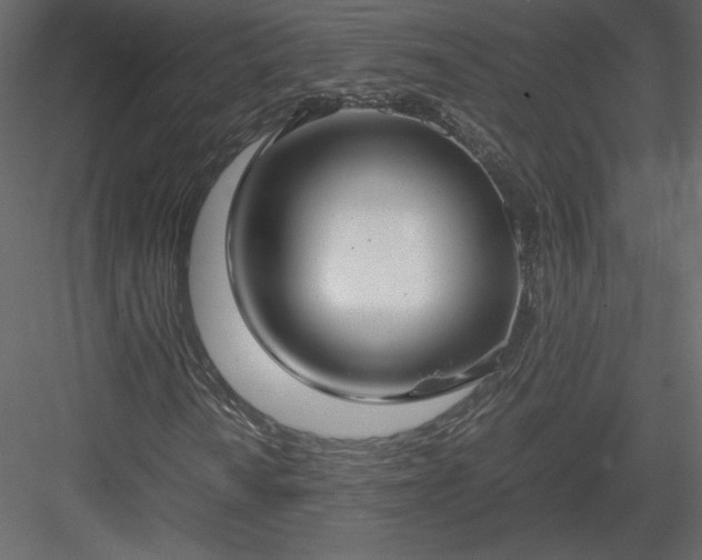 X0000083981010200702232039