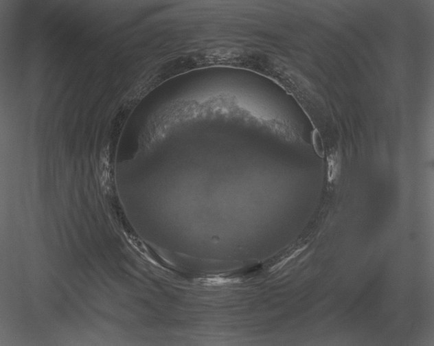 X0000083981011200702232039