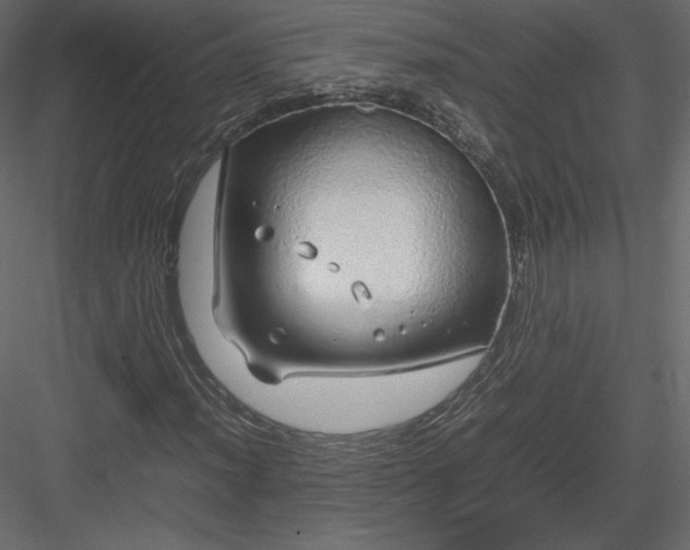 X0000083981012200702232039