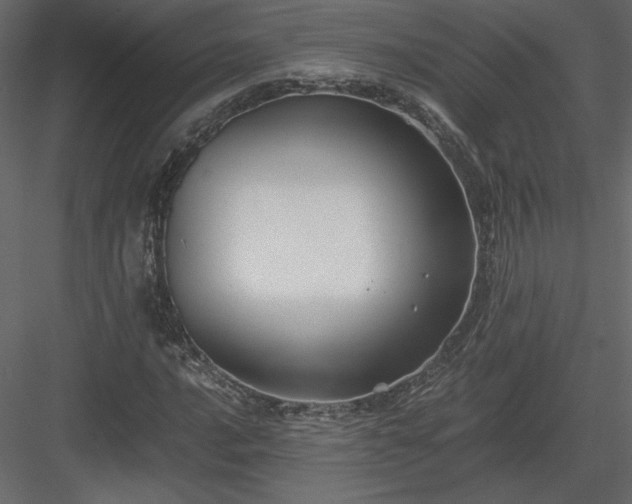 X0000083981016200702232039