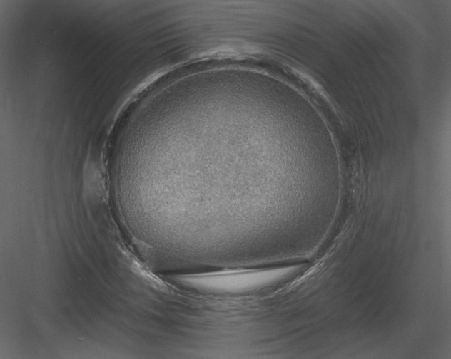 X0000083981018200702232039