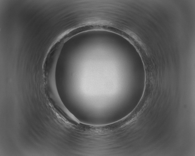 X0000083981022200702232039
